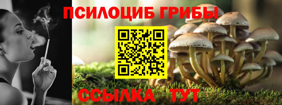 Галлюциногенные грибы ЛСД  Вход с VPN  Псилоцибиновые грибы прущие грибы  Соль-Илецк 